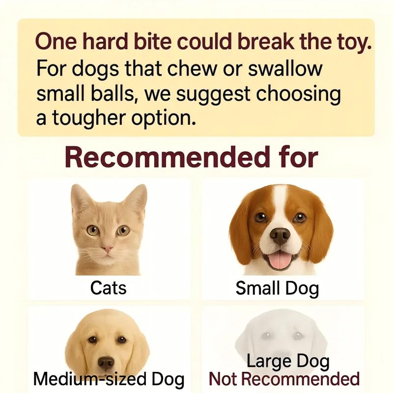 Interactive Cat Dog Teaser Toy with Rolling Ball and Replaceable Tails