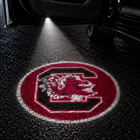 South Carolina Gamecocks
