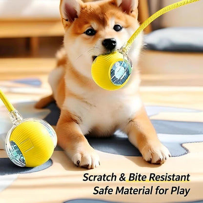Interactive Cat Dog Teaser Toy with Rolling Ball and Replaceable Tails