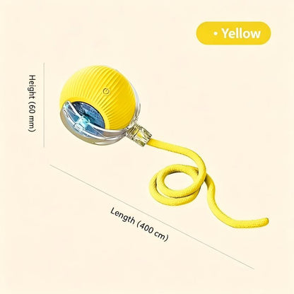 Interactive Cat Dog Teaser Toy with Rolling Ball and Replaceable Tails