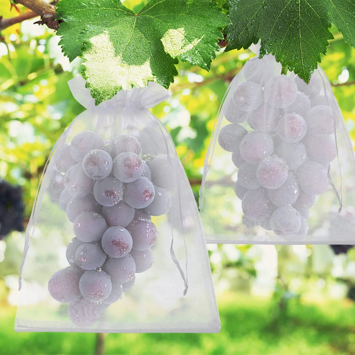 🔥Last Day 40%Off ✨Reusable Fruit Protection Bags🌿