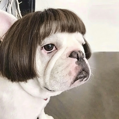 Cute Pet Wig for Dogs & Cats, Funny Holiday Gift