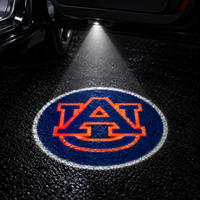 Auburn Tigers