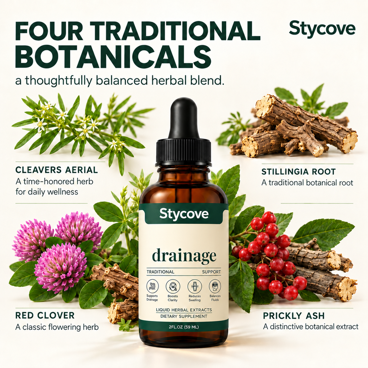 Stycove Lymphatic Drainage Drops | 4-Botanical Daily Lymphatic Support, Alcohol-Free & Vegan, 2 Fl Oz