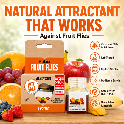 🏆🔥Fruit Fly Traps- safe for children and pets