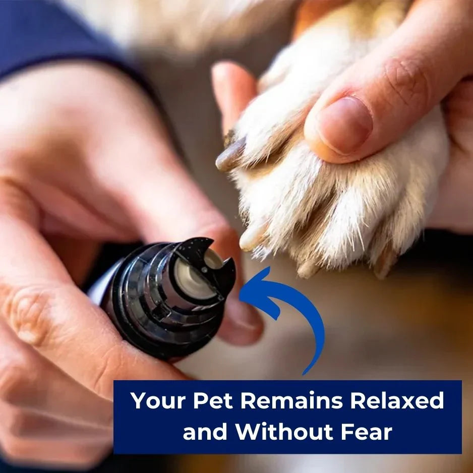 Give your pet a quick and easy manicure——Silent Groom Pro