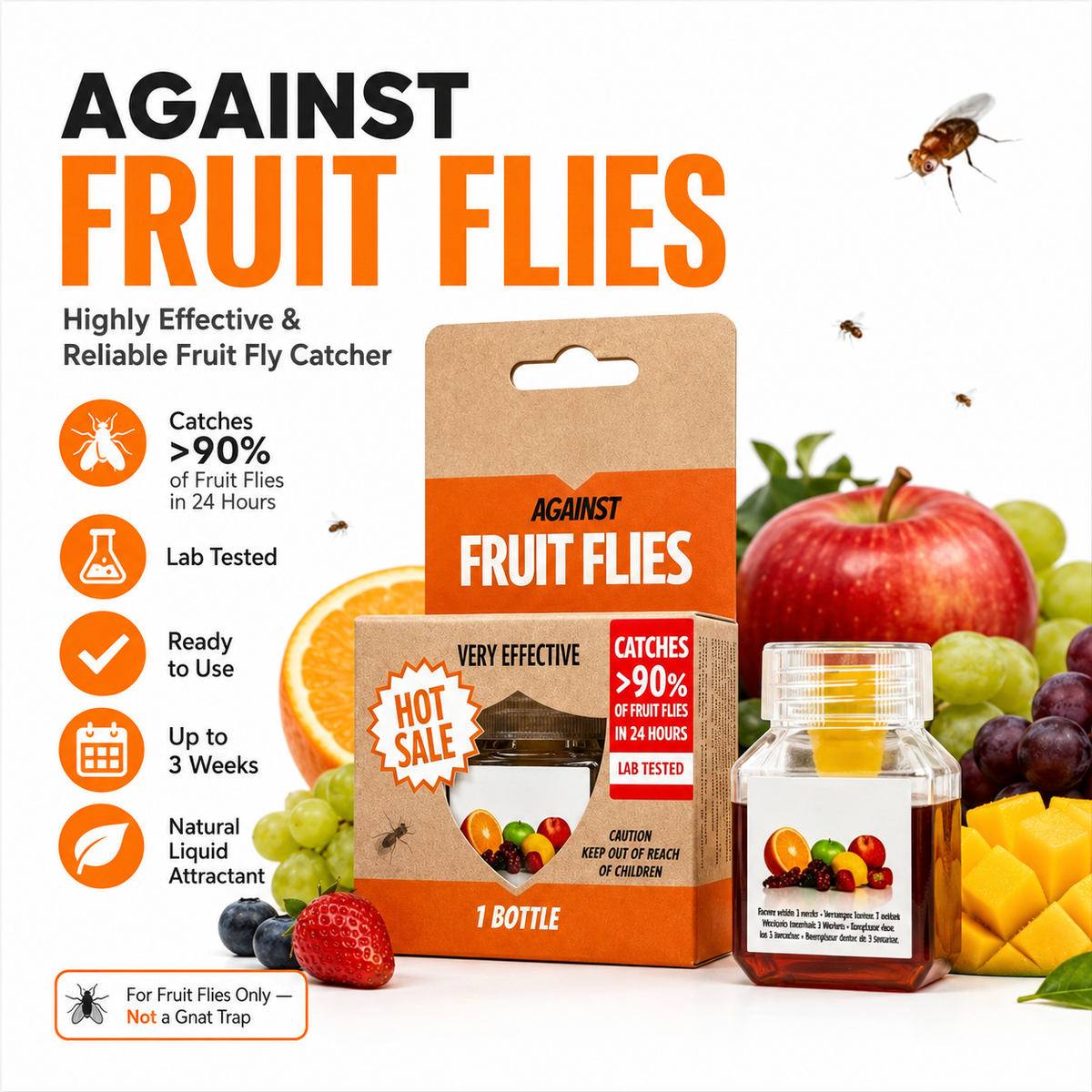 🏆🔥Fruit Fly Traps- safe for children and pets