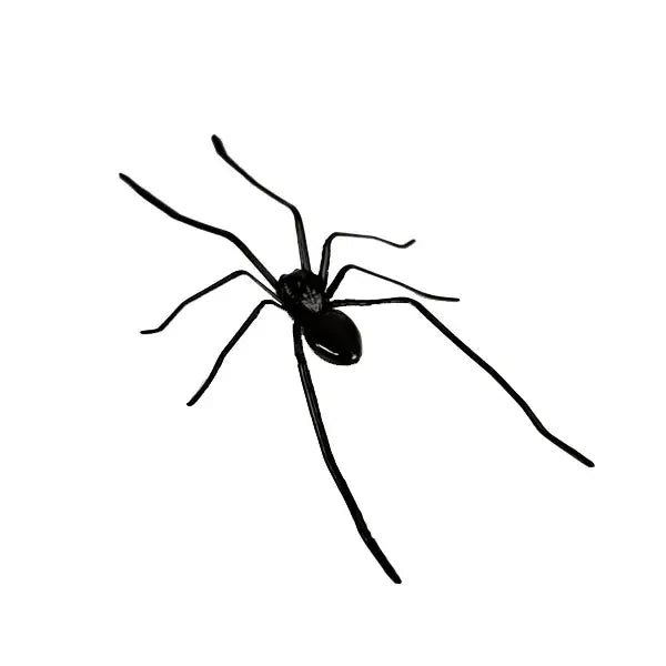 Spider Fridge Magnet🎁Realistic Spider Magnets, for Refrigerator, Garage Door, or Car