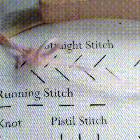 💕Beginner Friendly- Embroidery Stitches Practice Kit
