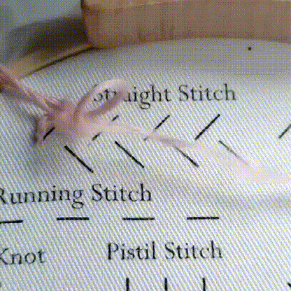 💕Beginner Friendly- Embroidery Stitches Practice Kit