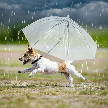 Pet Umbrella with Leash Chain, Waterproof Dog Walking Rain Umbrella