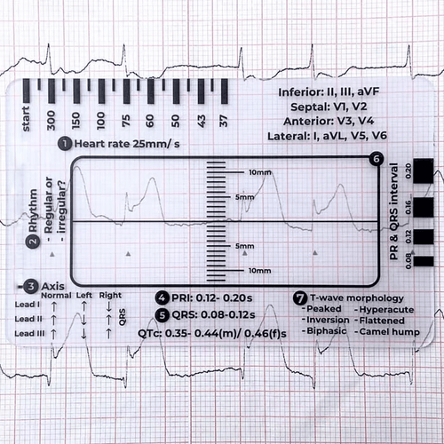 (🔥HOT SALE NOW 60% OFF) -ECG 7 Step Ruler
