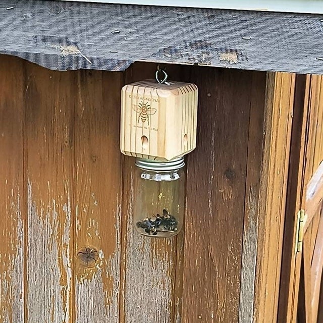 🔥Last 4 hours Sale: Save 49%-⏳Handmade Carpenter Bee Trap