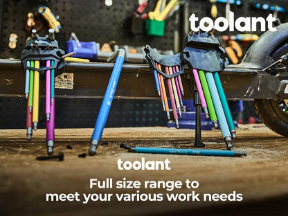 🔥Last Day Promotion 49% OFF - 🛠️Toolant Allen Wrench Allen Key Metric & SAE Set