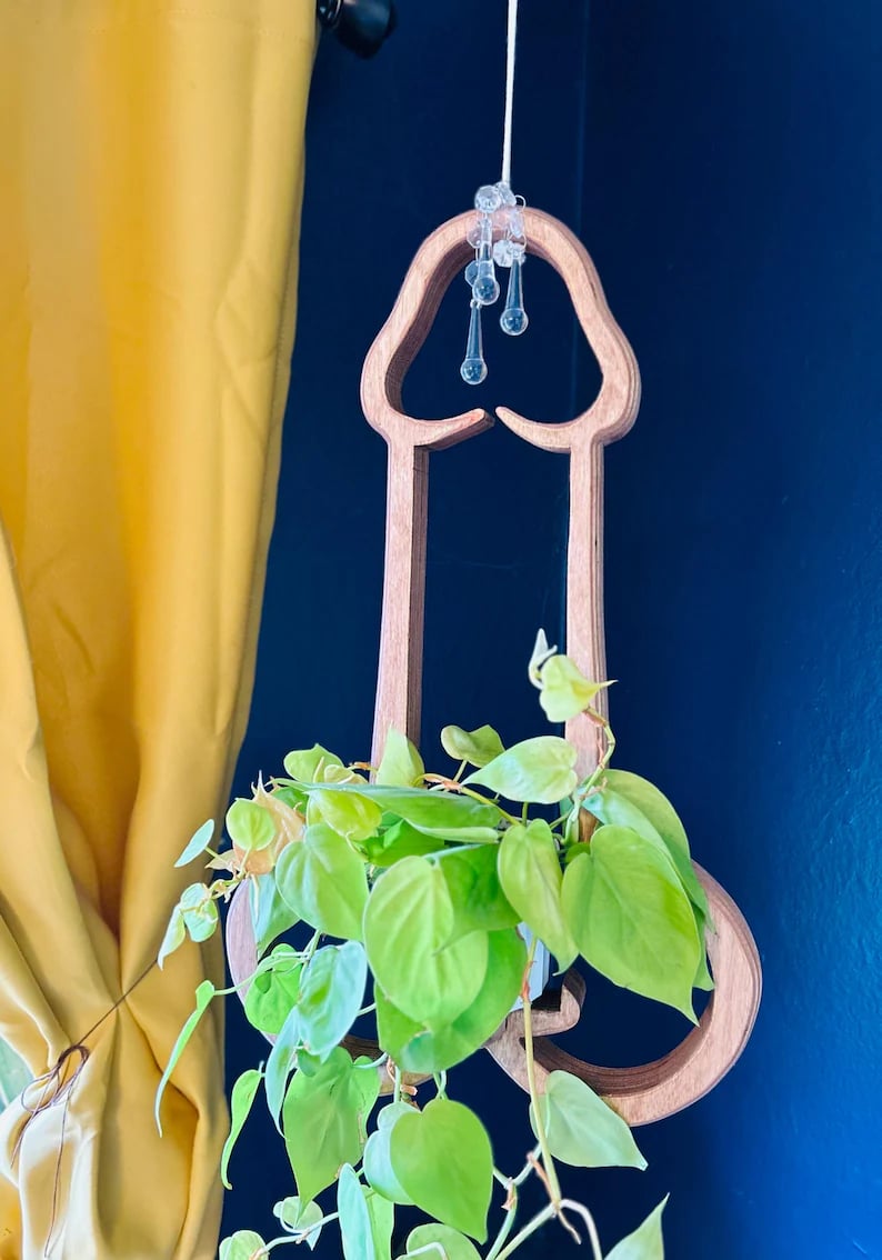 🔥Last 4 hours Sale: Save 50% -Plant Hanger