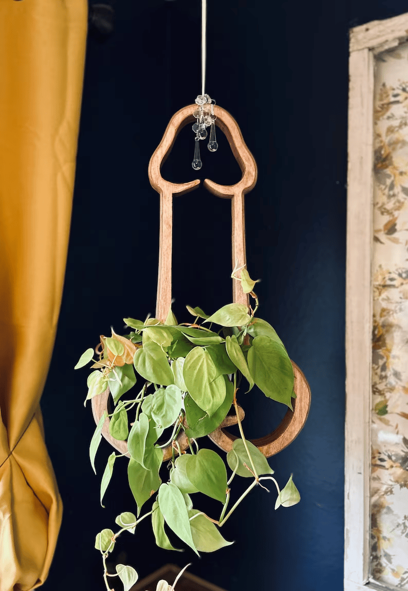 🔥Last 4 hours Sale: Save 50% -Plant Hanger
