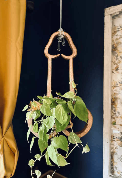 🔥Last 4 hours Sale: Save 50% -Plant Hanger