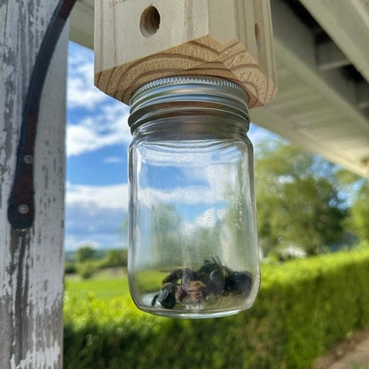 🔥Last 4 hours Sale: Save 49%-⏳Handmade Carpenter Bee Trap