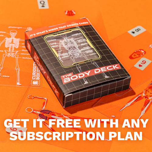 🔥Last 4 hours Sale: Save 49%- 📕The Body Deck