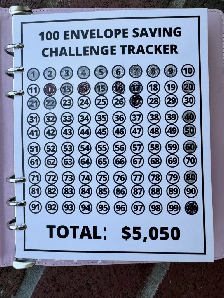 🔥LAST DAY 50% OFF✉️100 Envelope Savings Challenge Book