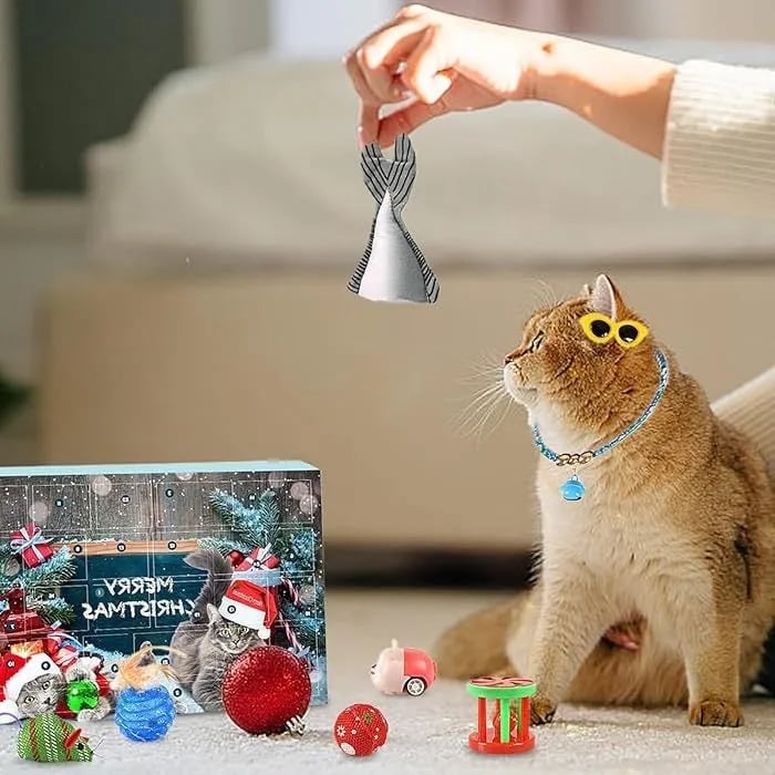 🔥Last 48 hours 57% OFF - 🐱2024 Christmas Countdown Cat Toys Advent Calendar
