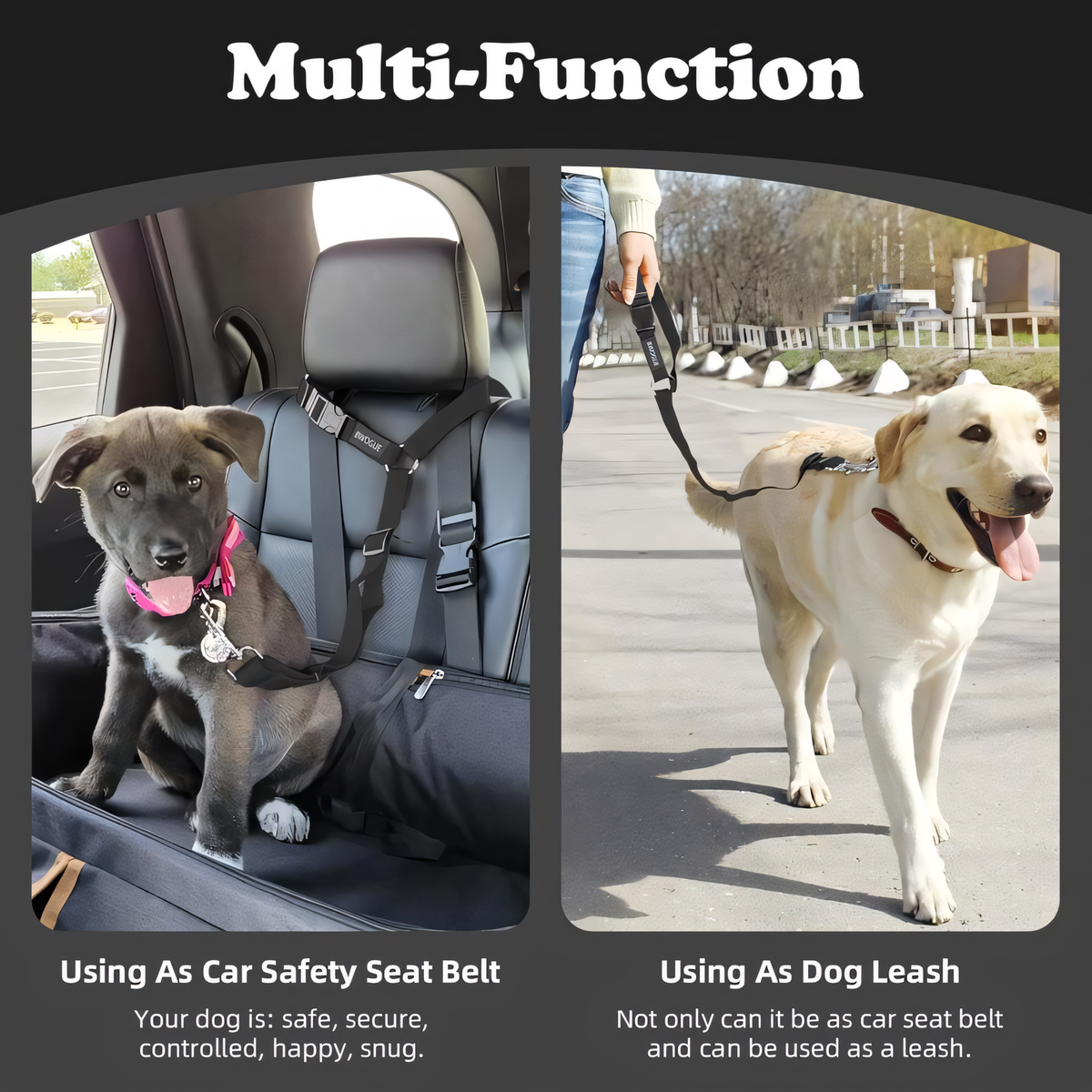 🔥 🔥2-Pack Dog Travel Safety Belts