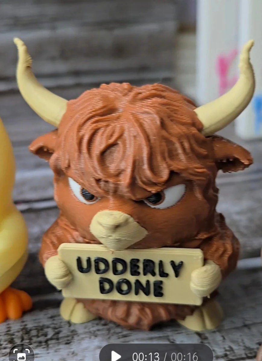 Funny Animal Desk Collectible |Animals with Attitude