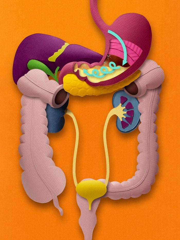 📚Paper World: Human Body🎅Best Christmas Gift for kids