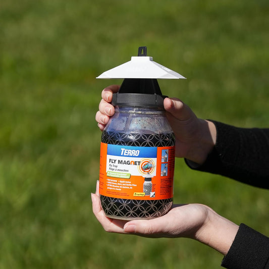 🔥Last Day 50% OFF-TERRO T380 Outdoor Reusable Fly Magnet Fly Trap - Poison Free Fly Killer and Trap with Bait