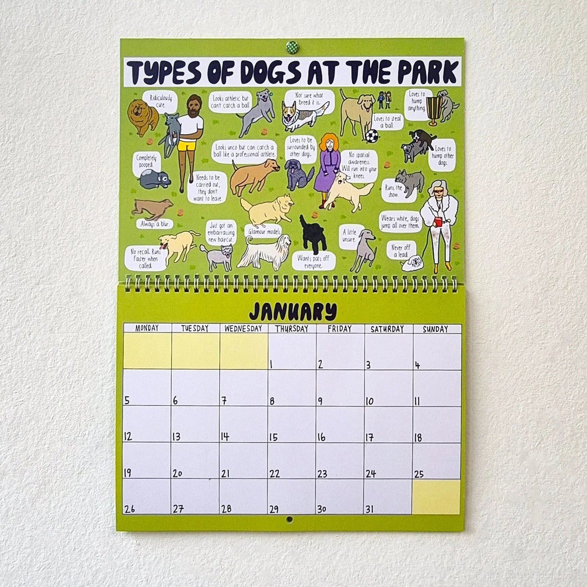 🔥Last Day 49% OFF - 🐶2026 Dog Park Calendar