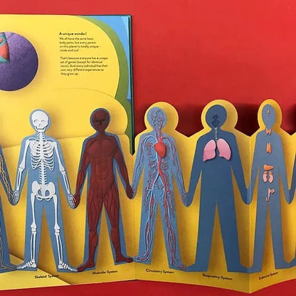 📚Paper World: Human Body🎅Best Christmas Gift for kids