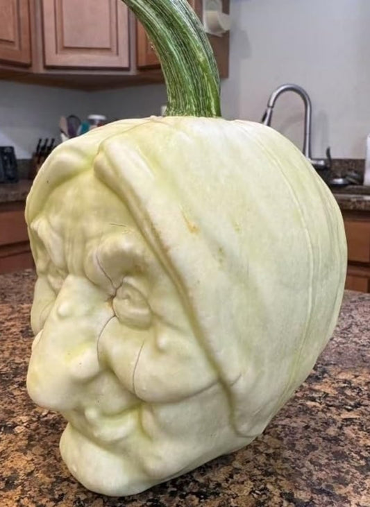 🎃Pumpkin Growth Mold🧟✨: Grow Spooky Shaped Pumpkins Easily 🥳