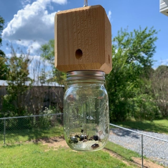 🔥Last 4 hours Sale: Save 49%-⏳Handmade Carpenter Bee Trap