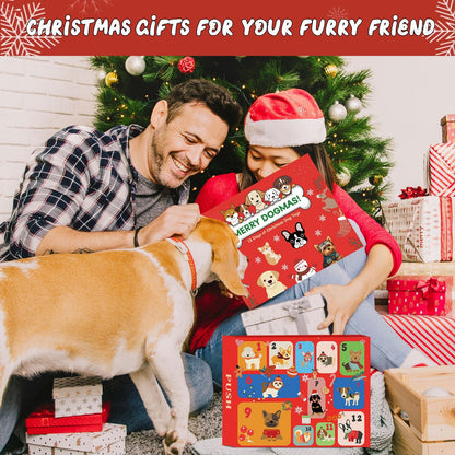 🔥LAST DAY SALE 50% OFF🐱Pet Advent Calendar 2024