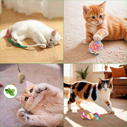 🔥LAST DAY SALE 50% OFF🐱Pet Advent Calendar 2024
