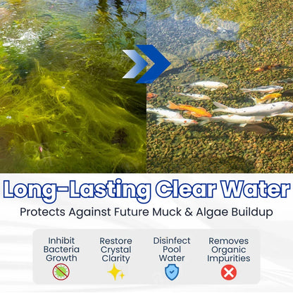 ✨ From Green to Clean Overnight! |⏱️ Crystal Clear in 24 Hours! |  Aqua-Guardian Pro Formula