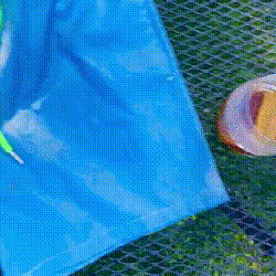 Cool color changing shorts