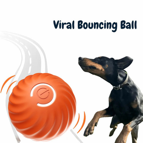 🎄Christmas Flash Sale 50% OFF - Chewie Viral Bouncing Ball