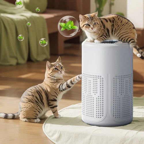 ⏳Time-Limited Special⏰Home Air Purifier – Multi-Layer Filter, Quiet, Energy-Efficient 🌱🎁🎁
