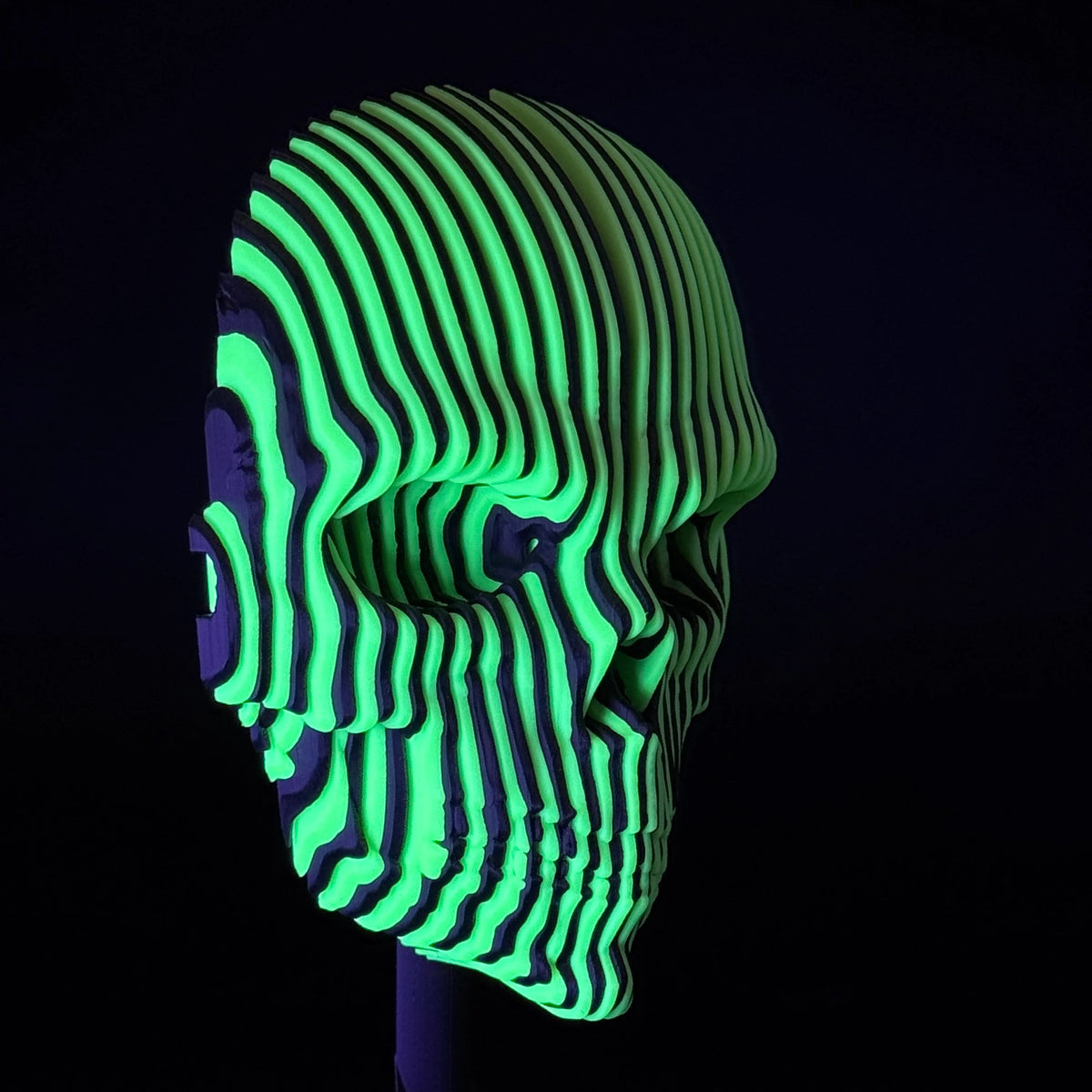 🔥Last Day 50% OFF - 💀3D Printed Luminous Quantum Skull