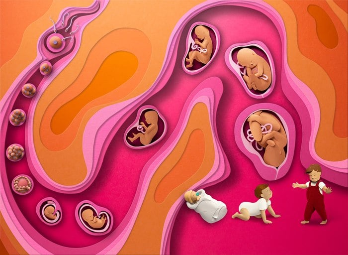 📚Paper World: Human Body🎅Best Christmas Gift for kids