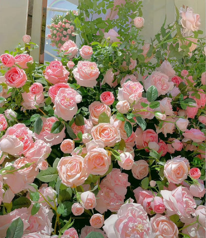 Climbing Rose Seeds
