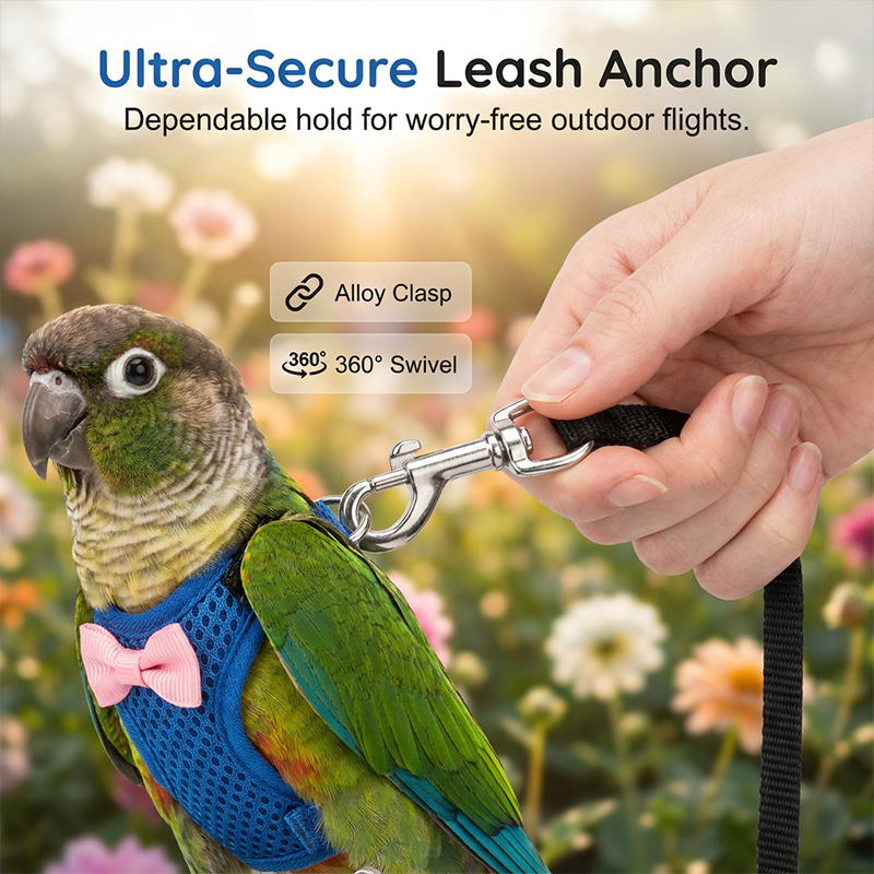 🔥⏰⏳🔥Parrot Flight Harness with Leash