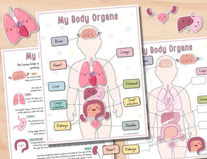 🔥LAST DAY 57% OFF -📚Human Anatomy Busy Book