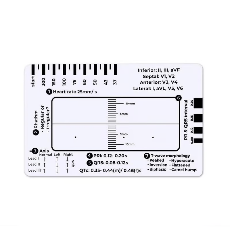 (🔥HOT SALE NOW 60% OFF) -ECG 7 Step Ruler
