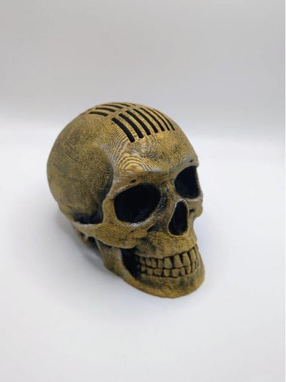 💀3D Pick Holder Skull Mohawk🎁