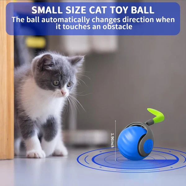 SPEEDY TAIL 2.0