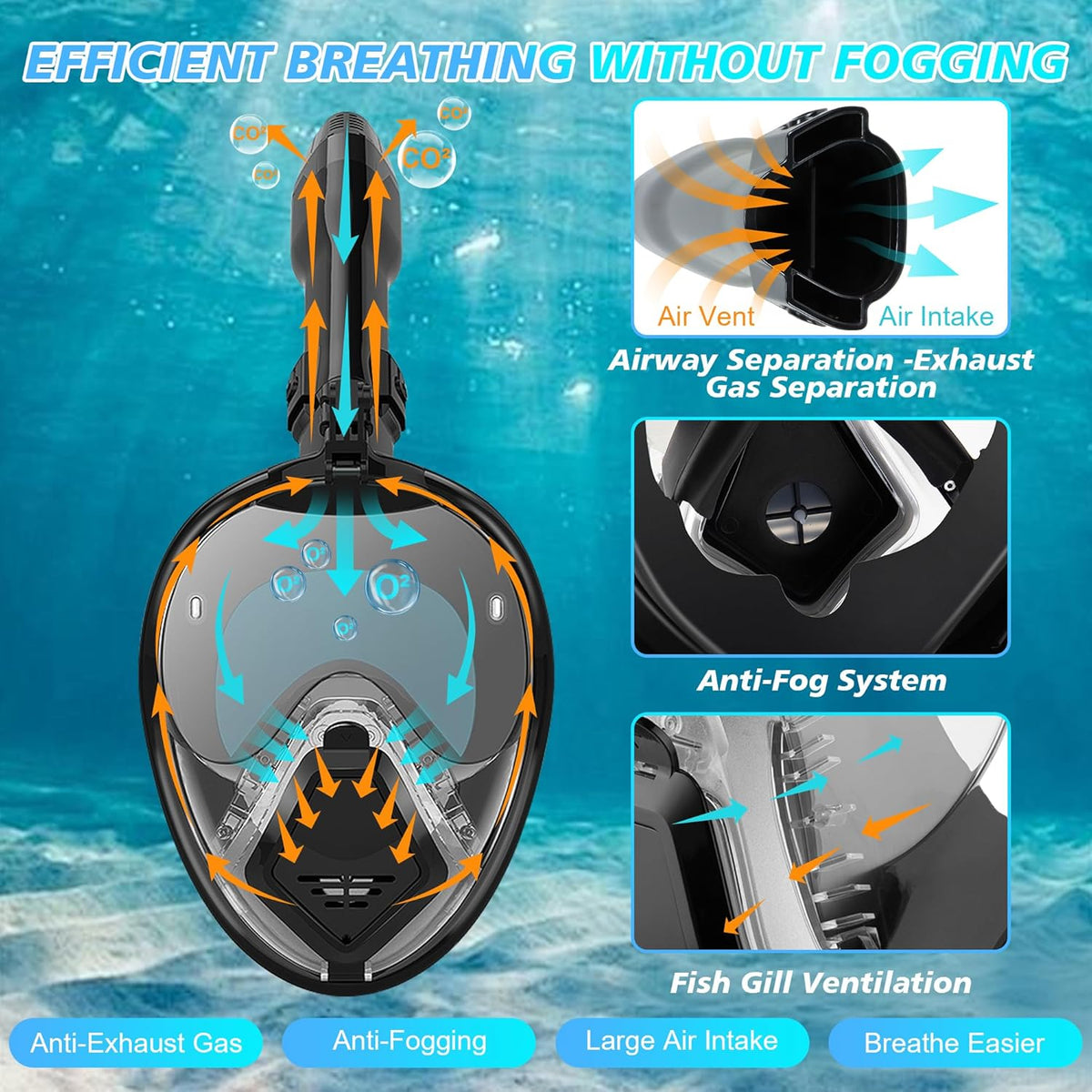 🔥Last Day 49% OFF - 🤿Ultimate Full-Face Snorke (Fog-Free Vision 180° Panoramic View )
