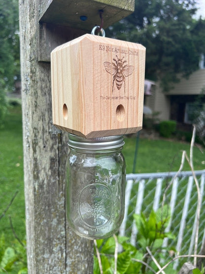 🔥Last 4 hours Sale: Save 49%-⏳Handmade Carpenter Bee Trap