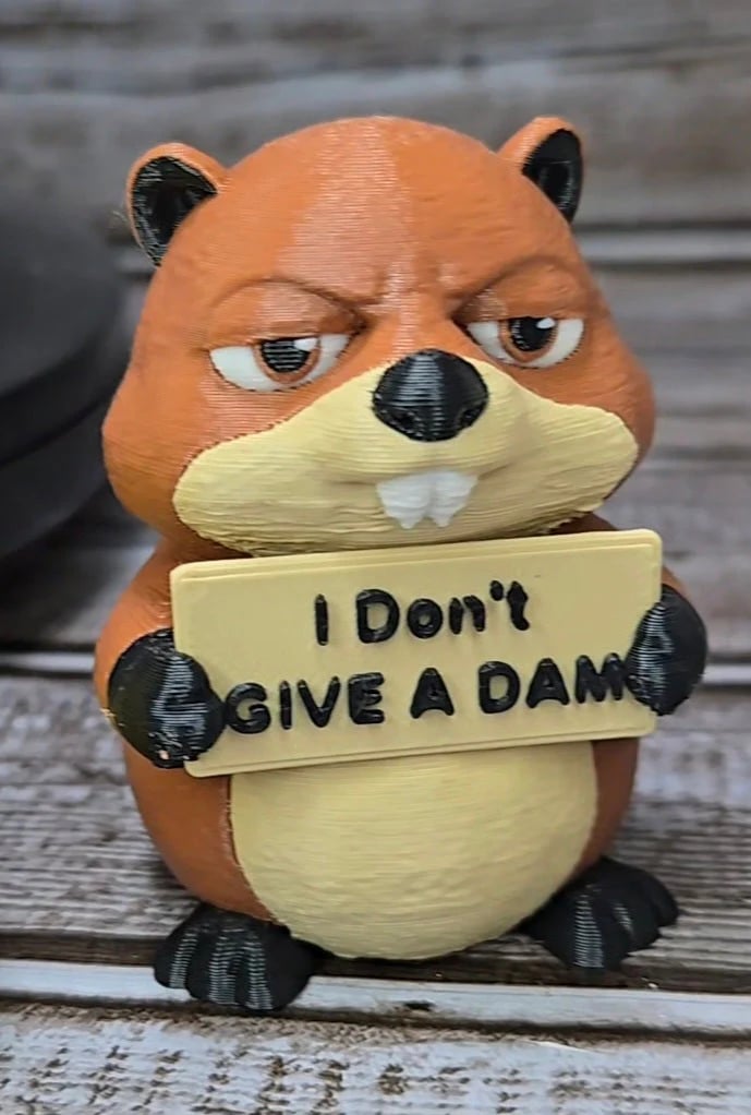 Funny Animal Desk Collectible |Animals with Attitude